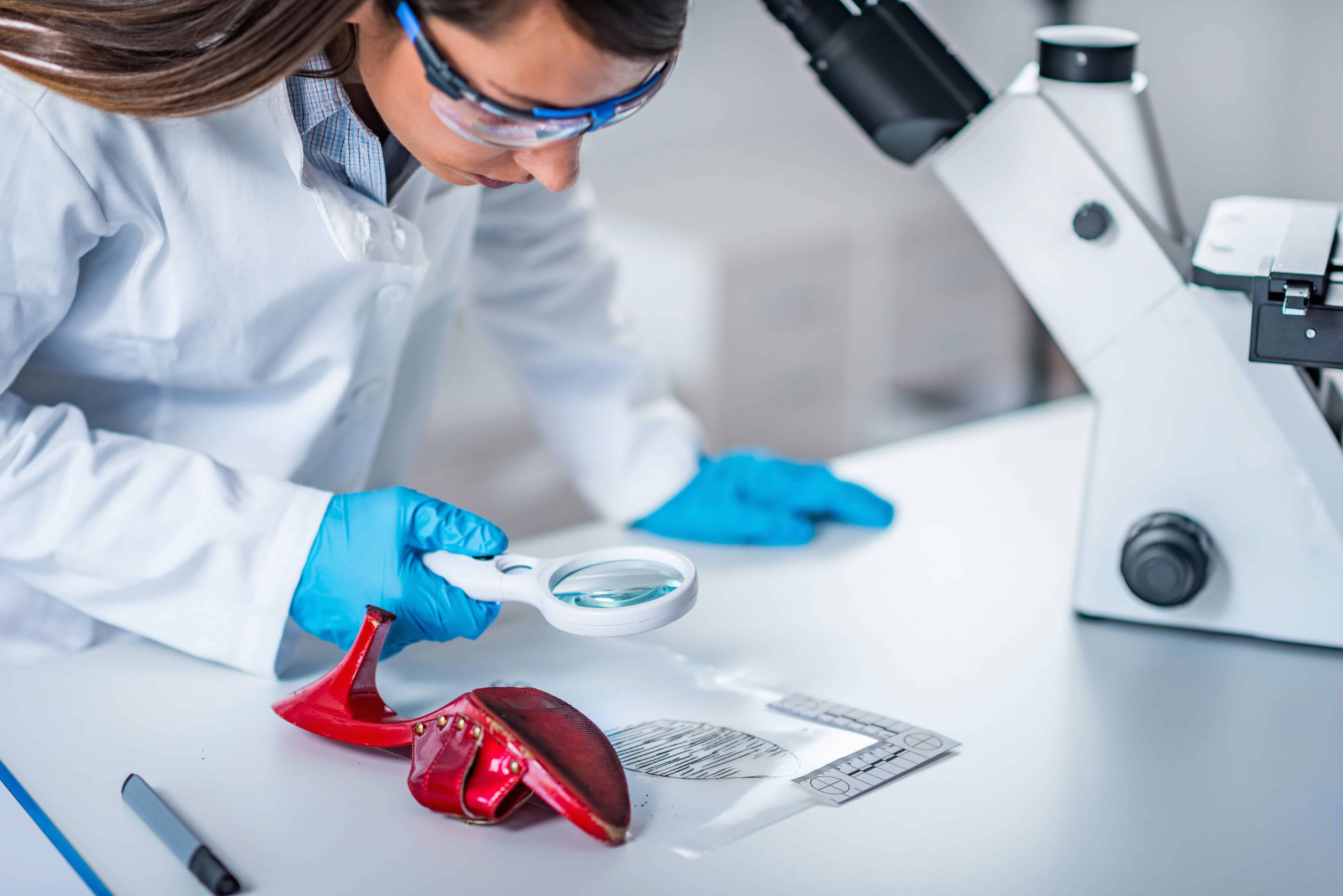 Forensic expert examining objects from a crime scene