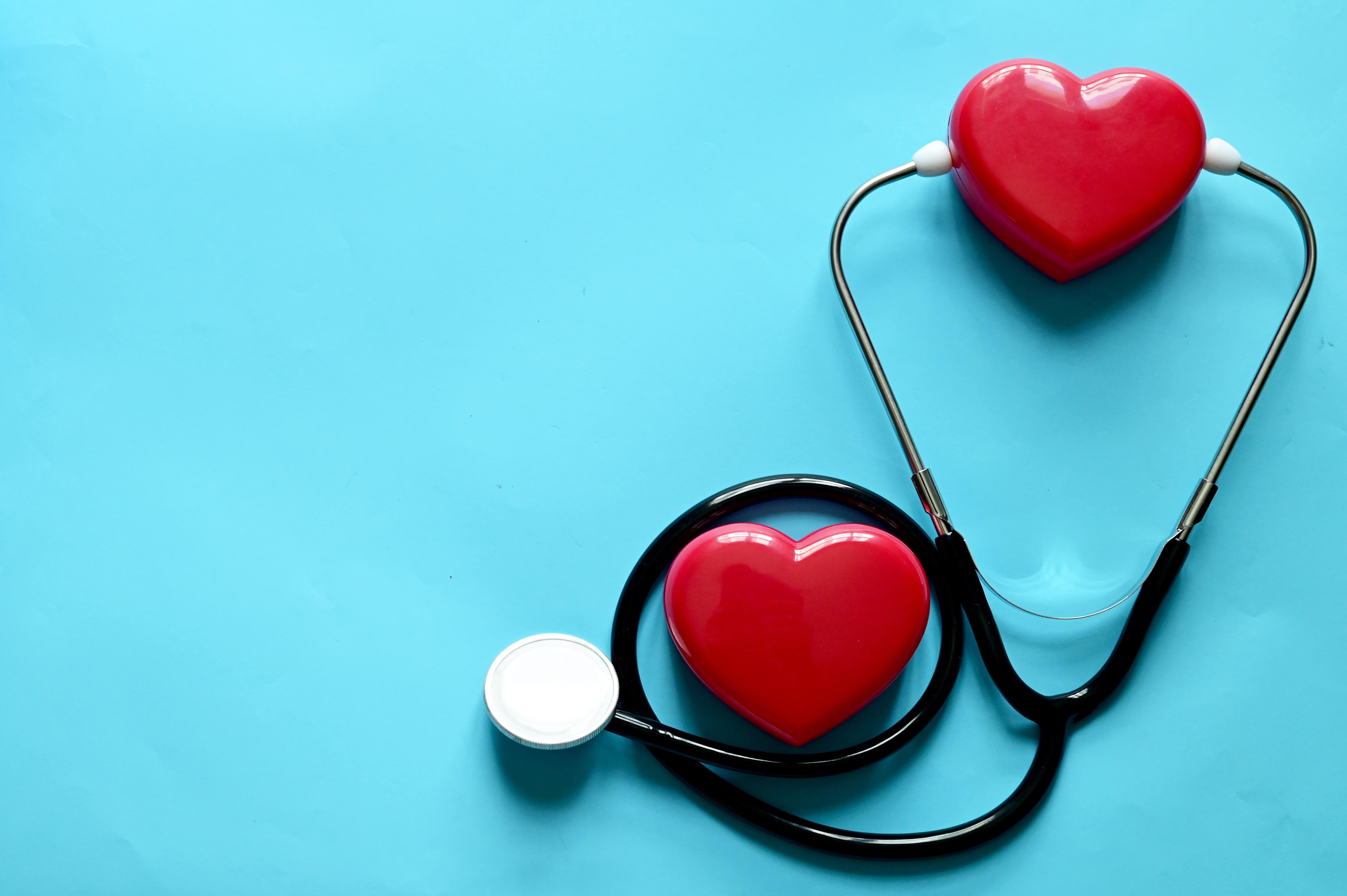 Close up of replica hearts and a stethoscope